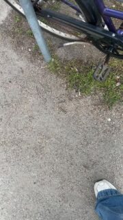 I’m sure she’ll stop by—have you also planned to meet some great new people and get involved in volunteer work? 🤩
Then April 14, 2026, is your chance! From 12:00 PM to 4:30 PM, our university’s student organizations (and us, the DSi, of course) will be in the lobby of the central building to tell you everything you need to know about student organization life! Everyone is welcome, whether you’re a freshman, sophomore, or senior 🫶
We look forward to seeing you!

Ich bin mir sicher sie kommt vorbei, du hast auch geplant tolle neue Leute kennenzulernen und sich ehrenamtlich zu engagieren? 🤩
Dann ist am 14.04.2026 eure Chance, von 12:00 bis 16:30 sind die Initiativen unserer Uni (und wir, der DSi natürlich auch), für euch im Foyer des Zentralgebäudes und informieren euch über alles was es zum Initiativen-Leben zu wissen gibt! Jede*r ist willkommen egal ob Ersti, Zweiti oder Zwölftie 🫶
Wir freuen uns auf euch!